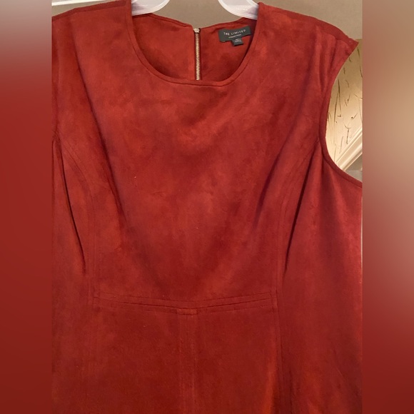 The Limited suede dress - Medium - Picture 2 of 5